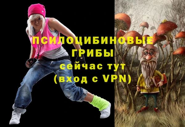 spice Бугульма