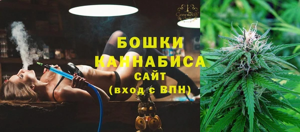 винт Богданович