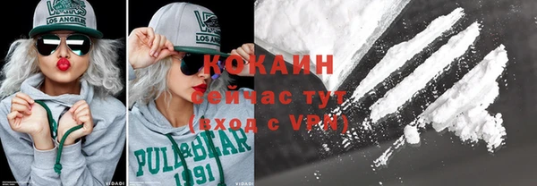 винт Богданович
